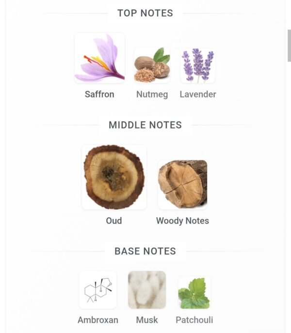 Odyssey Aoud Armaf 100ml
اوديسي عود من ارماف ١٠٠ملي