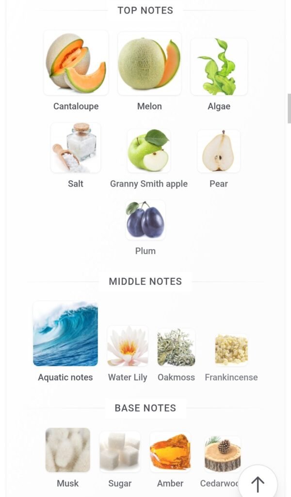 Odyssey Bahamas Armaf 100ml
اوديسي باهاماز من ارماف ١٠٠ملي