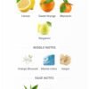 Odyssey Limoni Fresh 100ml
اوديسي ليموني فريش من ارماف ١٠٠ملي
