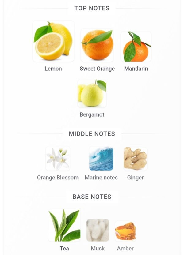 Odyssey Limoni Fresh 100ml
اوديسي ليموني فريش من ارماف ١٠٠ملي