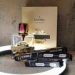 x Xandal Aromatix 10ml
اكس سكاندال اروماتكس تستر ١٠ملي