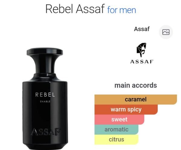 Rebel Enable 150ml Assaf
ريبل انيبل ١٥٠ملي من عساف