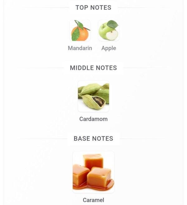 Rebel Enable 150ml Assaf
ريبل انيبل ١٥٠ملي من عساف