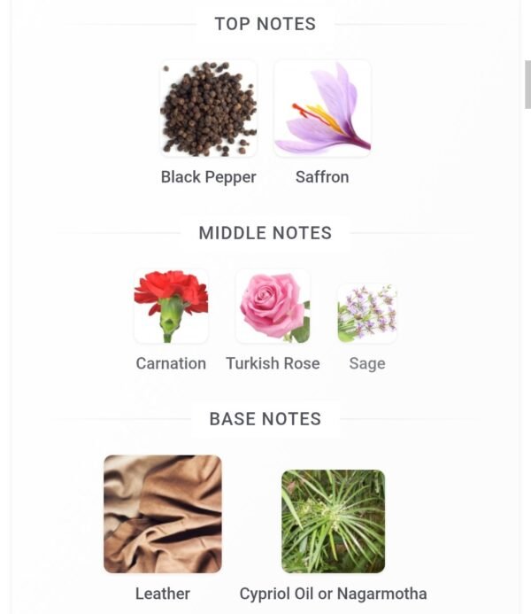 Ishk Swiss Arabian 50ML
عشق من سويس اريبيان ٥٠ملي