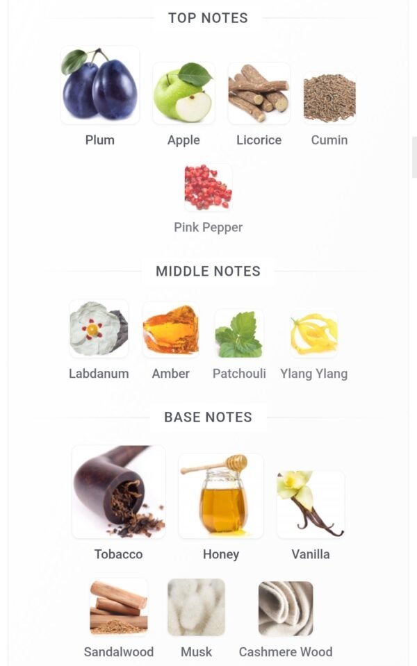 Tobacco 01 50ml Swiss Arabian
توباكو ٠١ ٥٠ملي من سويس اريبيان
