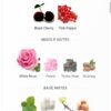 Ana Abiyedh Scarlet 60ml
انا الابيض سكارليت ٦٠ملي من لطافة