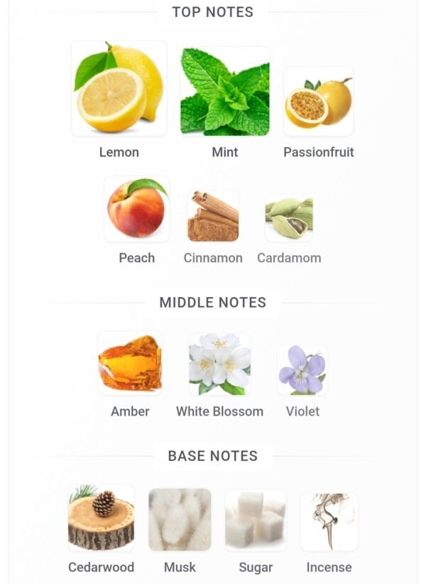 Mojito Obsession Gulf Orchid
موهيتو اوبسيشن ١٠٠ملي من جولف اوركيد