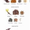 Amber Oud Tobacco Edition 100ML Extrait De Parfum