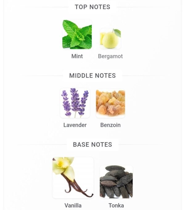 Rayhaan Elixir 100ml
ريحان اليكزير ١٠٠ملي