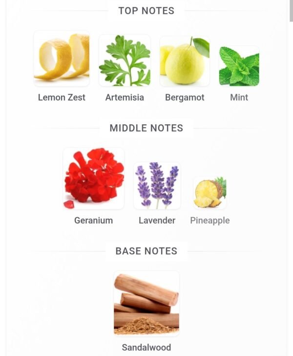 Rayhaan Nuctorno Elixir 100ml
ريحان نكتورنو اليكزير ١٠٠ملي