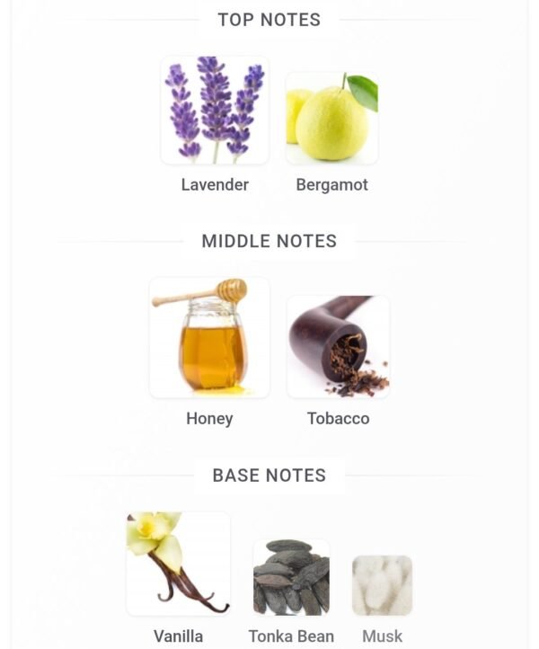 King Tobacco 200ML Laverne
كينج توباكو ٢٠٠ملي من لافيرن