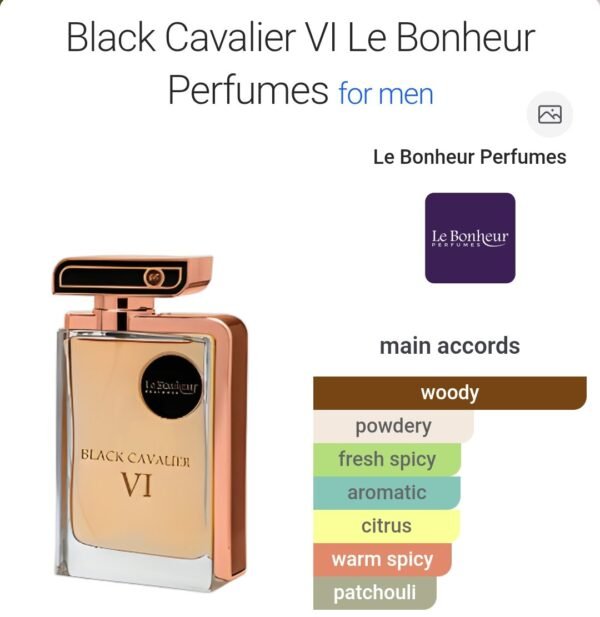 Black Cavalier VI 100ML
بلاك كافاليير ١٠٠ملي من لابونير