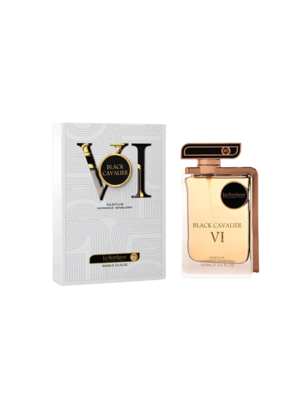 Black Cavalier VI 100ML
بلاك كافاليير ١٠٠ملي من لابونير