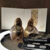 Aariz 10ml
ارز تستر ١٠ملي