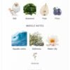 Emerald Of Atlantis Elite 100ml
ايميرالد اوف اطلانتس ١٠٠ملي من ايلات