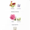 Balqees 100ml Dakhoon
بلقيس ١٠٠ملي من دخون