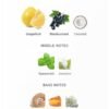 Safari Breeze 100ml
سفاري بريز ١٠٠ملي من فرينش اڤينو