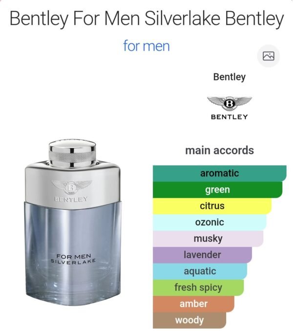 Bentley Silver Lake 100ml Tester Box Authentic