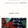 Qasida Bakhur 200ml Faan
قصيدة بخور ٢٠٠ملي من فان للإبداع