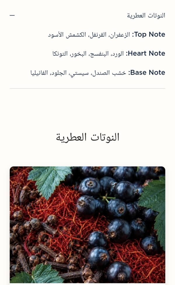 Qasida Bakhur 200ml Faan
قصيدة بخور ٢٠٠ملي من فان للإبداع