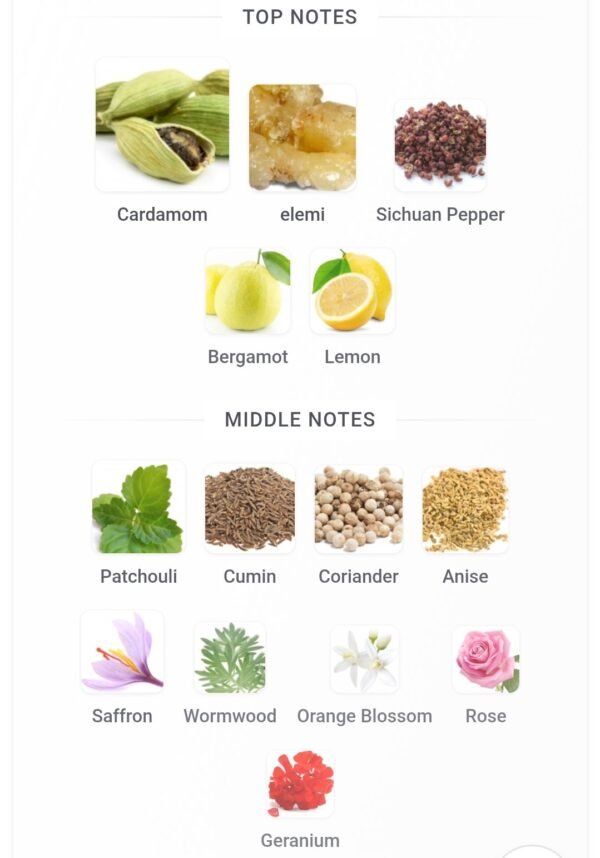 Rayhaan Terra 100ml
ريحان تيرا ١٠٠ملي